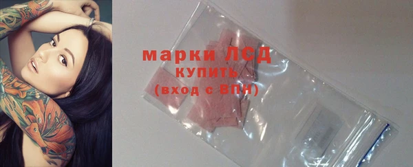 хмурый Арсеньев