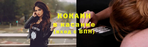 гашик Зерноград