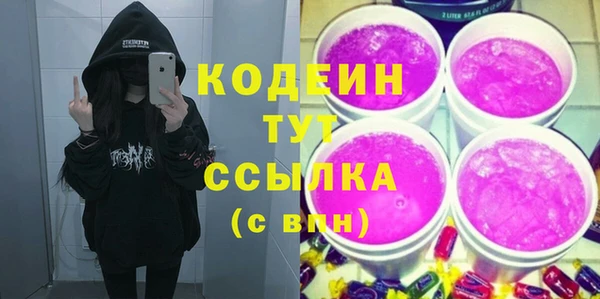 хмурый Арсеньев