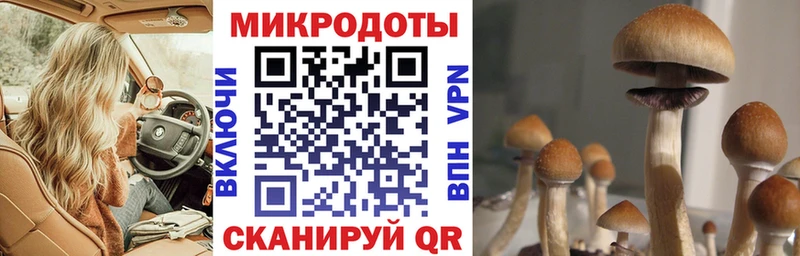 Псилоцибиновые грибы Cubensis  Усинск 